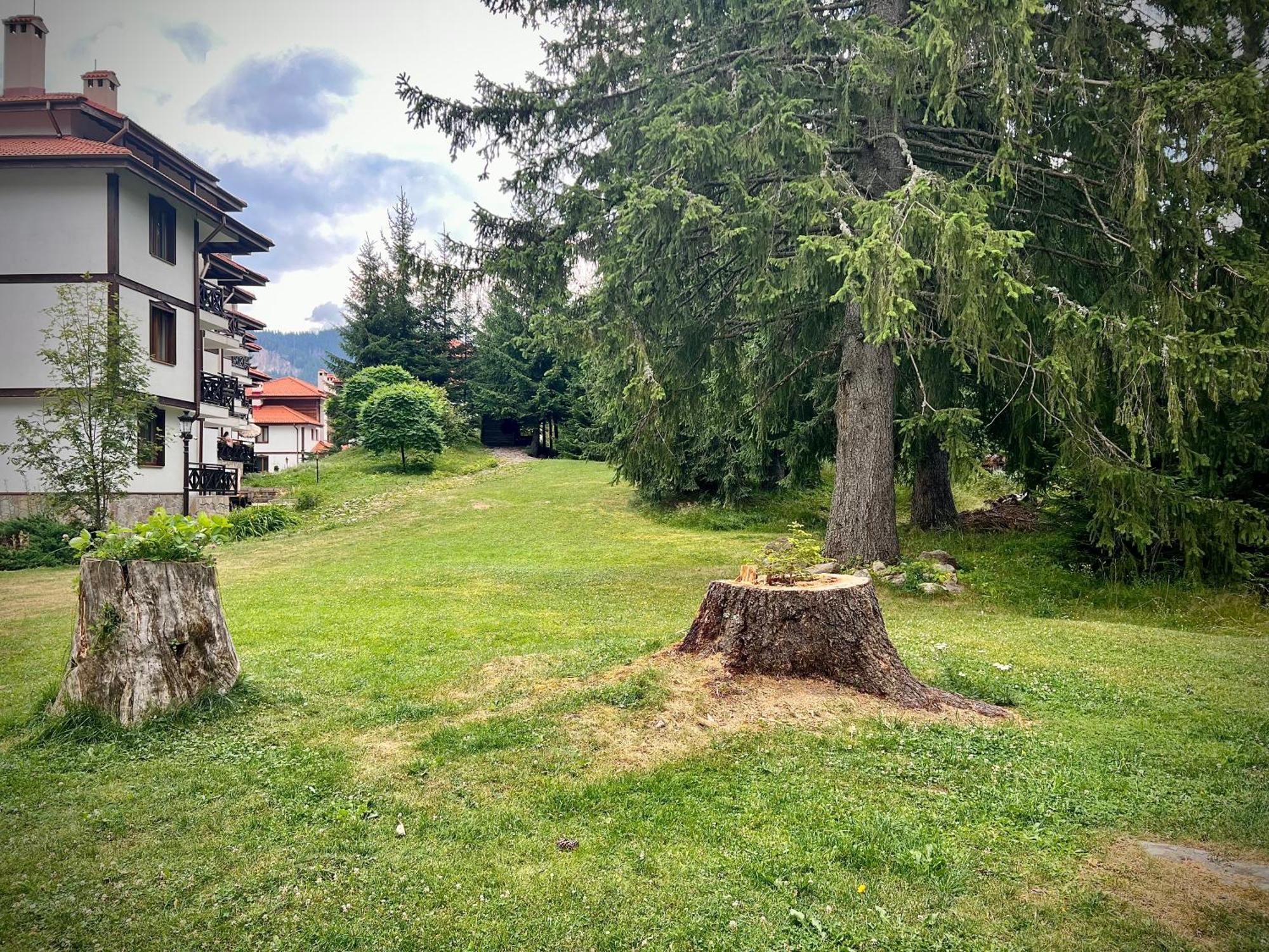Relax Aпартаменти, Смолянски Езера, Вила Венера, К-С Маунтин Лейк Exteriér fotografie