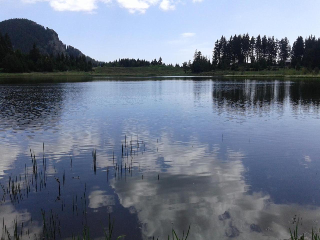 Relax Aпартаменти, Смолянски Езера, Вила Венера, К-С Маунтин Лейк Exteriér fotografie